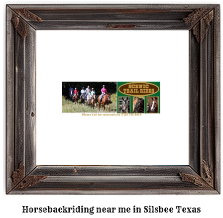 horseback riding near me in Silsbee, Texas